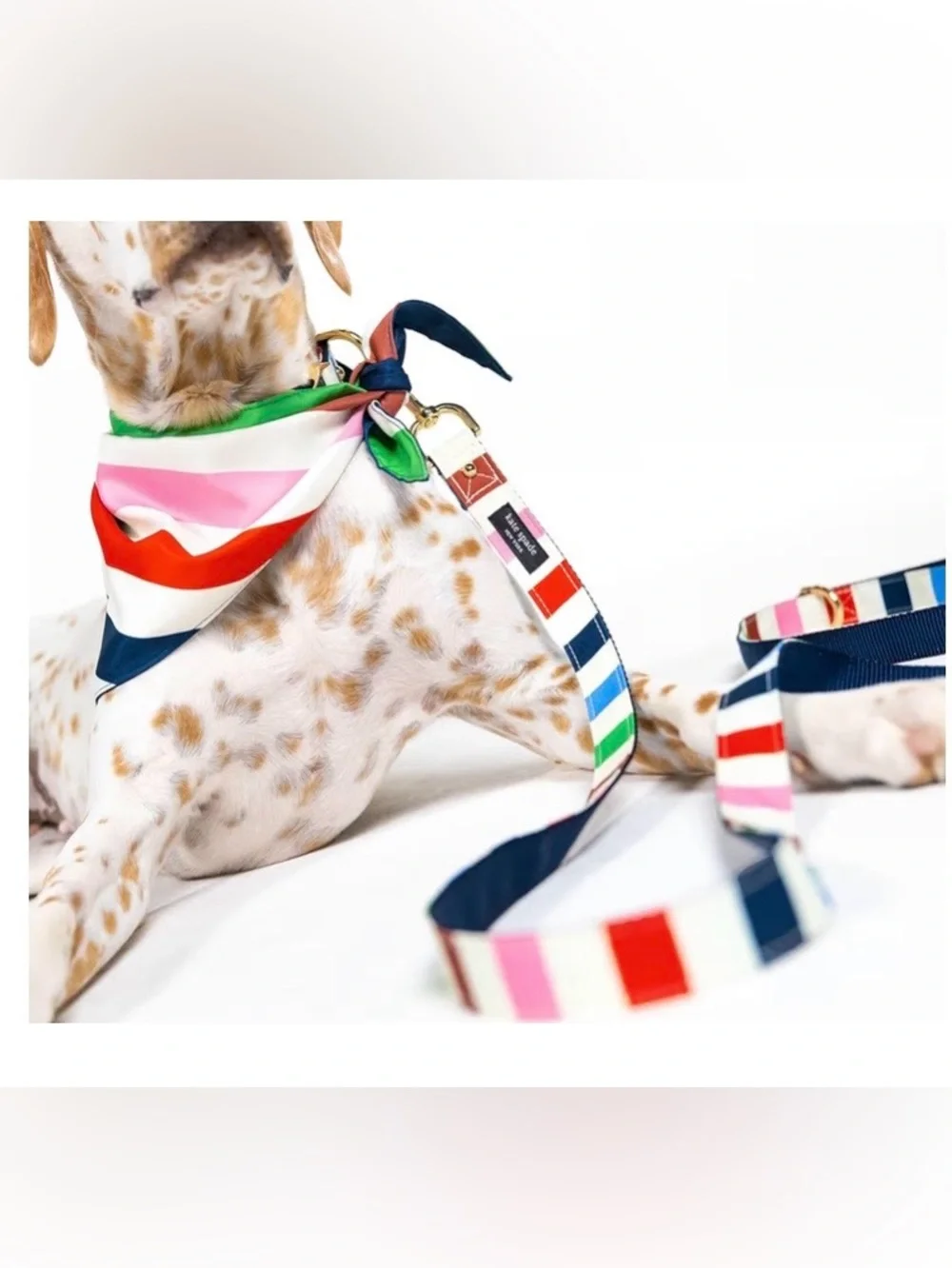 Kate Spade New York Heavy Duty Leash for Female or Male Dogs
